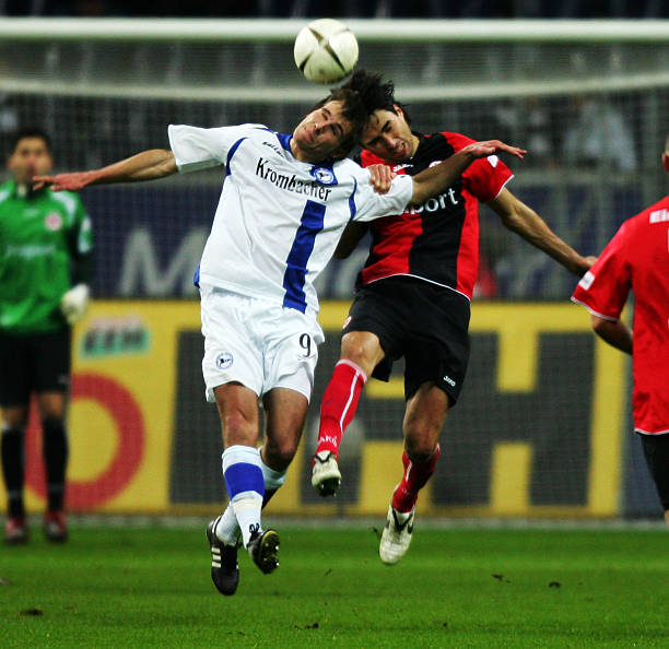 和多样化上 和多样化上